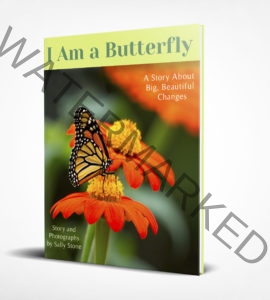 I-Am-a-Butterfly-Book-Cover-Drop-Shadow