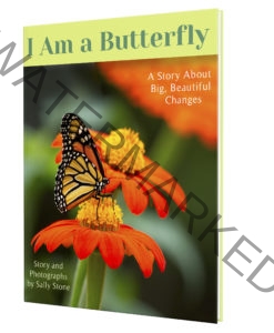 I-Am-A-Butterfly-Book-Cover