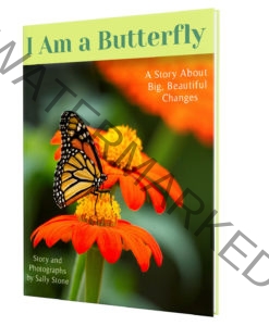 I-Am-a-Butterfly-Book-Cover