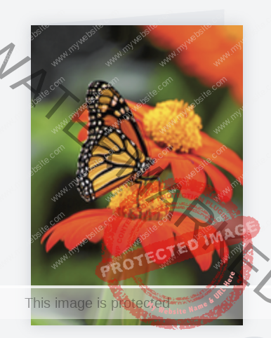 I Am a Butterfly Greeting Card