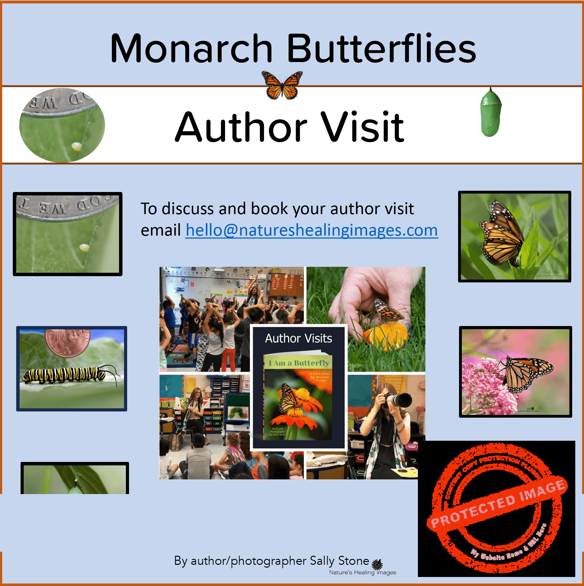 Author Visit, monarch butterfly life cycle, endangerment, raising monarchs