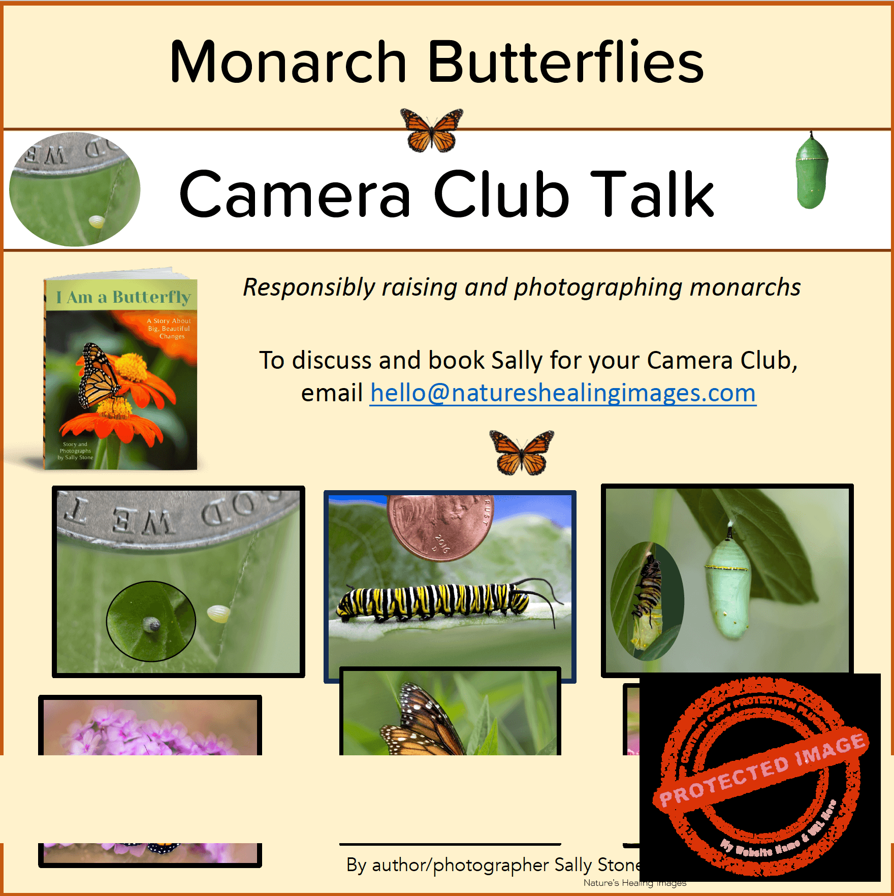 Camera Club Visit, monarch butterfly life cycle photography