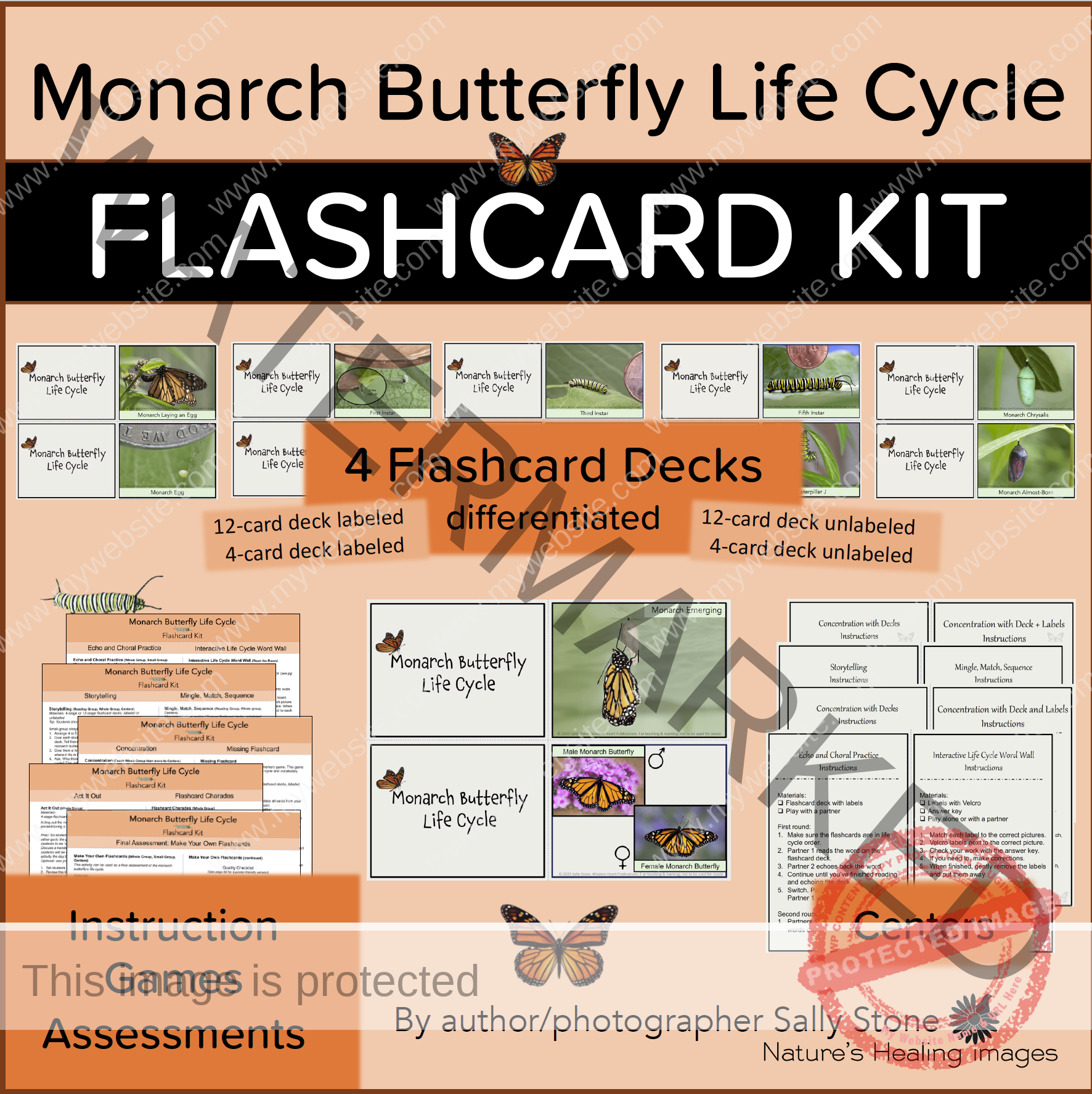 Monarch Butterfly Life Cycle Flashcard Kit